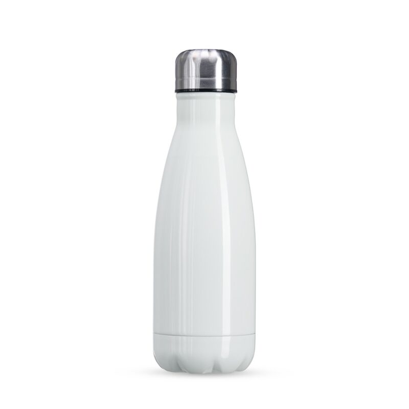 GARRAFA 540ML INOX