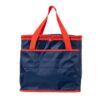 BOLSA TÉRMICA 36 LITROS - Thumbnail Image 3