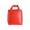 BOLSA TÉRMICA 5 LITROS - Thumbnail Image 3