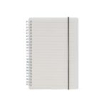 TRANSPARENTE