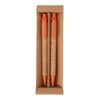 KIT ECOLÓGICO CANETA E LAPISEIRA CORTIÇA - Thumbnail Image 8