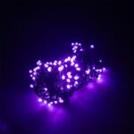 ROXO