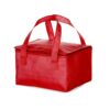BOLSA TÉRMICA 10 LITROS EM TNT - Thumbnail Image 3